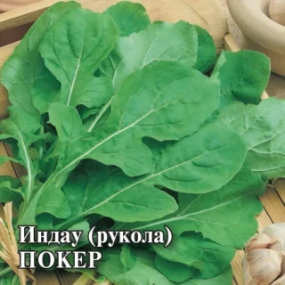 Рукола культурная (индау) Покер - ООО «Семена Тут»