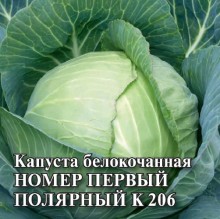 Капуста белокочанная Номер первый Полярный К206 - ООО «Семена Тут»